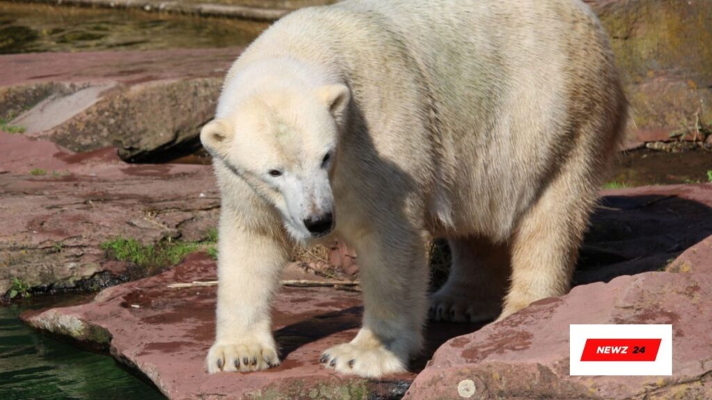 Nürnberger Zoo